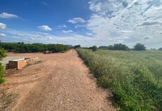 Landdistrikter / landbrugsjord til salg i Pla de Pavia, Rafelbunyol, Valencia. 